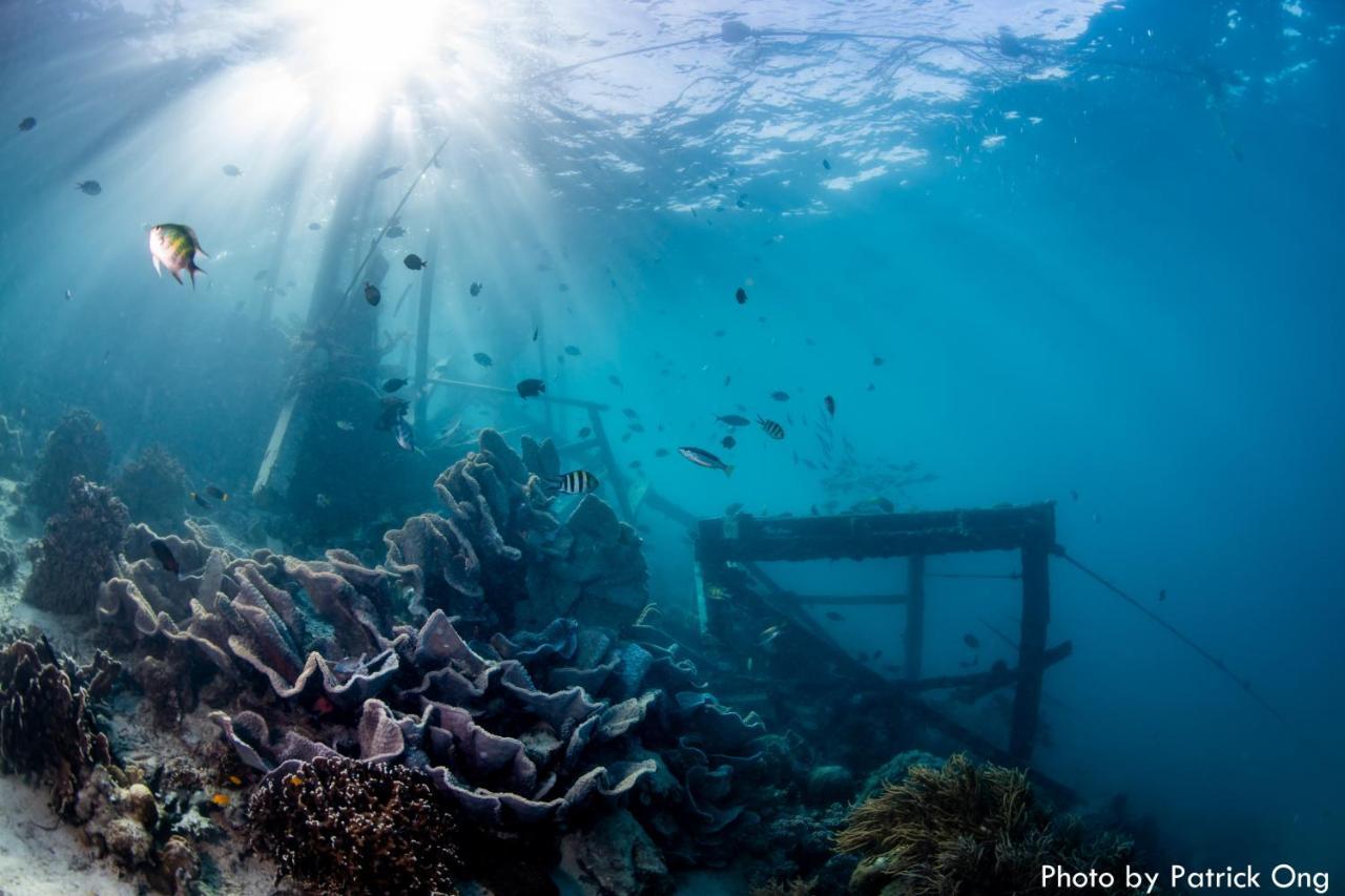 Borneo Divers Mabul Resort Mabul Island Экстерьер фото